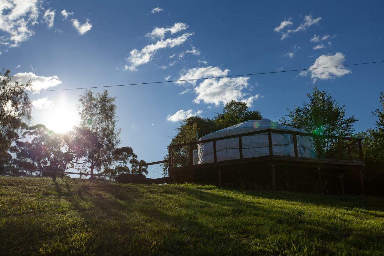 ホテルAwesome Glamping Gold Coast Hinterland Advancetown エクステリア 写真