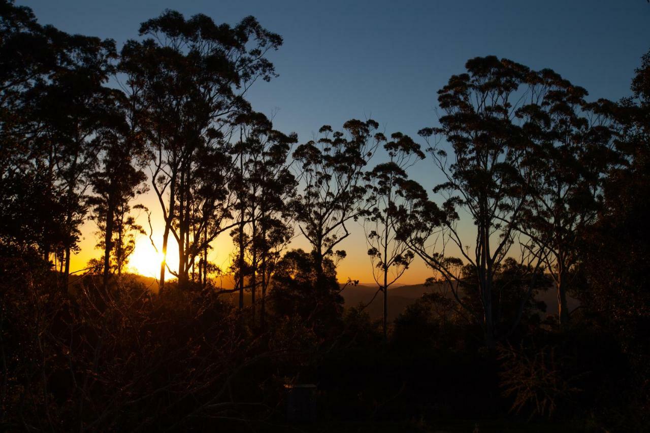 ホテルAwesome Glamping Gold Coast Hinterland Advancetown エクステリア 写真